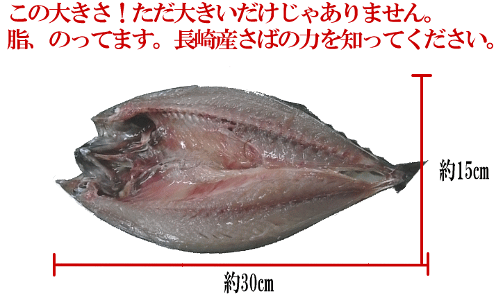 ���Έ�銱���傫��